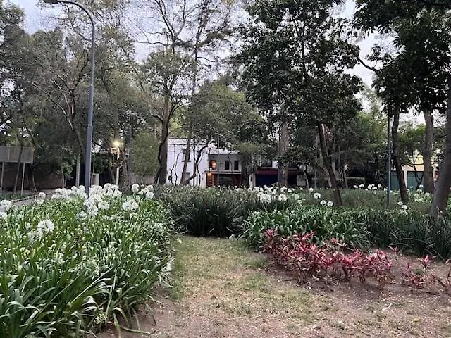 Artist's Or Couple's Casita & Mexico City