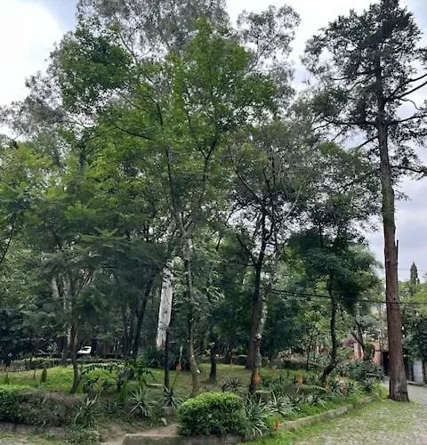 Artist's Or Couple's Casita & Holiday home Mexico City