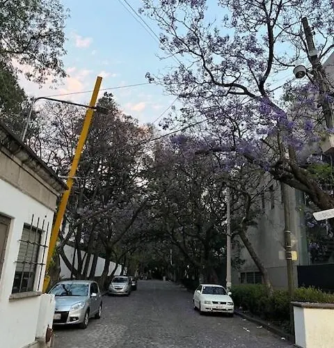 Artist's Or Couple's Casita & * Mexico City