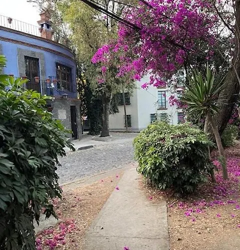 Artist's Or Couple's Casita & Holiday home Mexico City